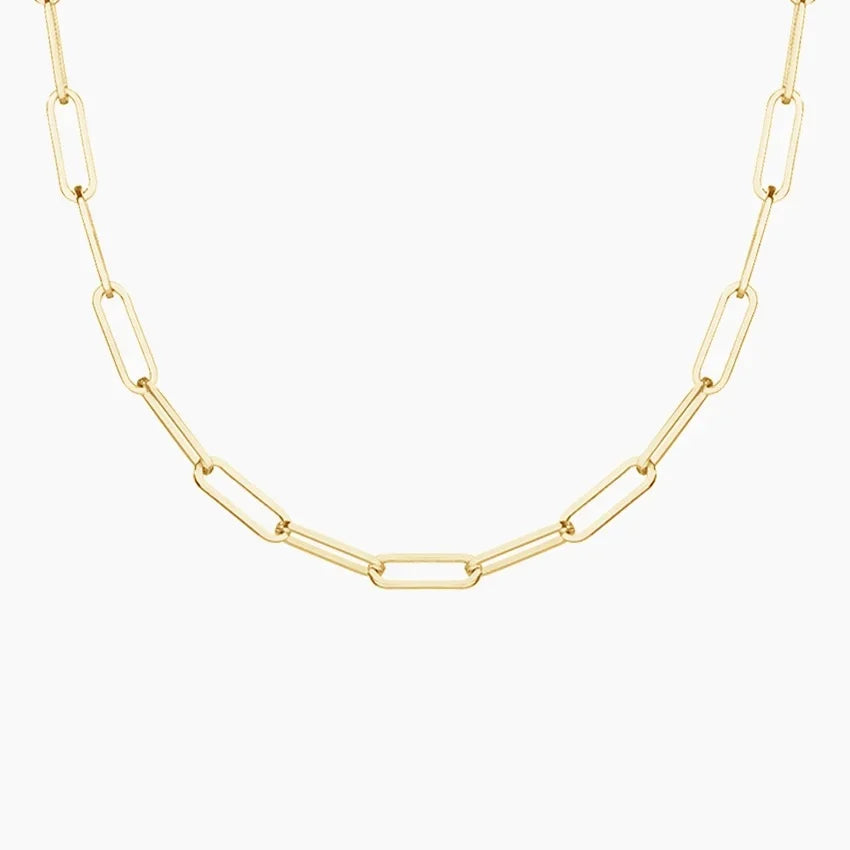 Elongated Paperclip Link Chain